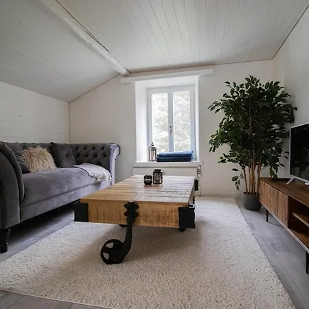 Attic With Private Terrace 公寓 瓦伦施塔特