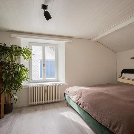Attic With Private Terrace 公寓 瓦伦施塔特